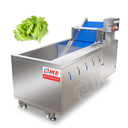 Electric Ozone Leafy Vegetables & Fruit Cleaning Machine